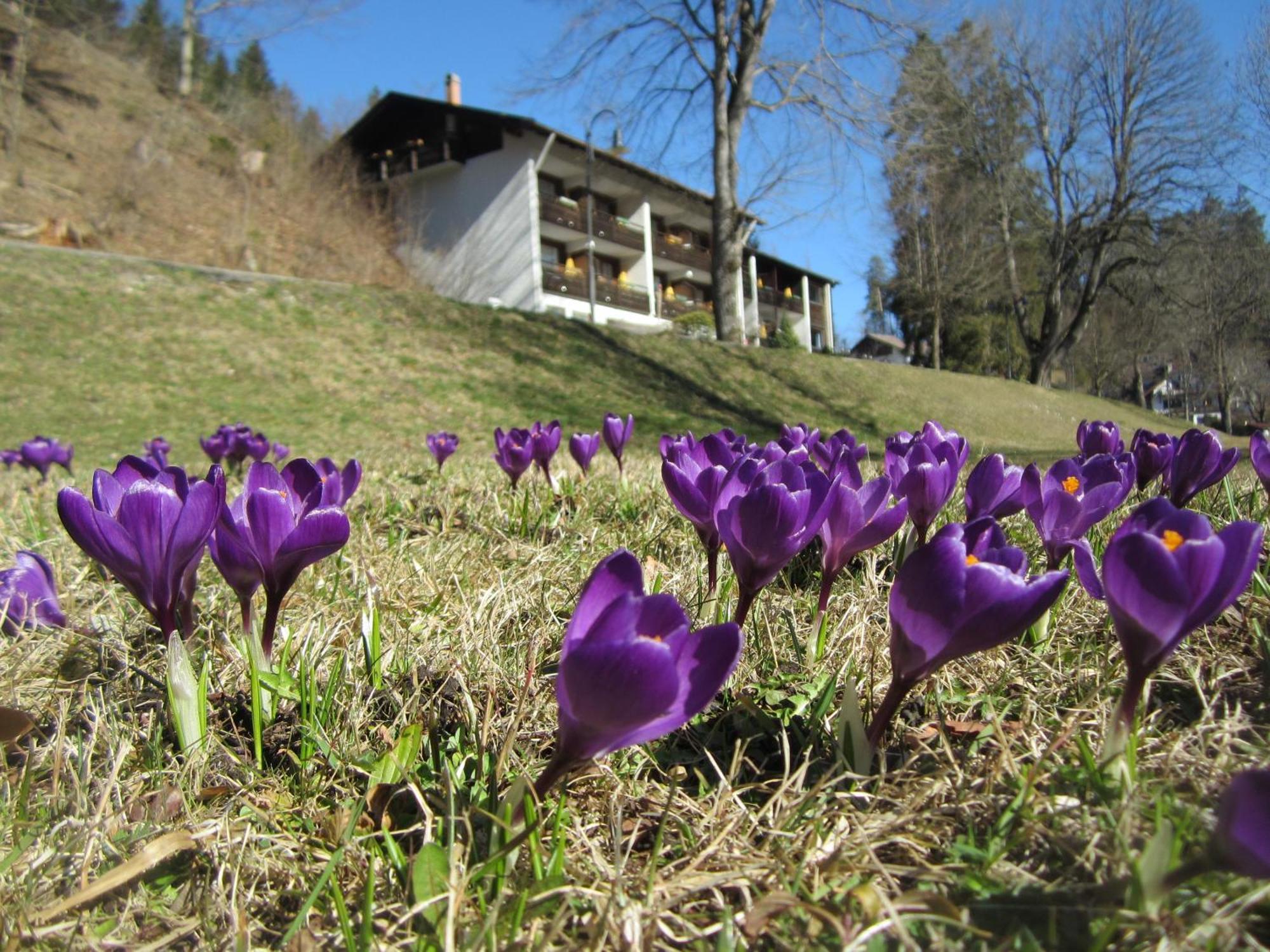 Hotel Ruchti - Zeit Fuer Mich ฟุสเซ่น ภายนอก รูปภาพ