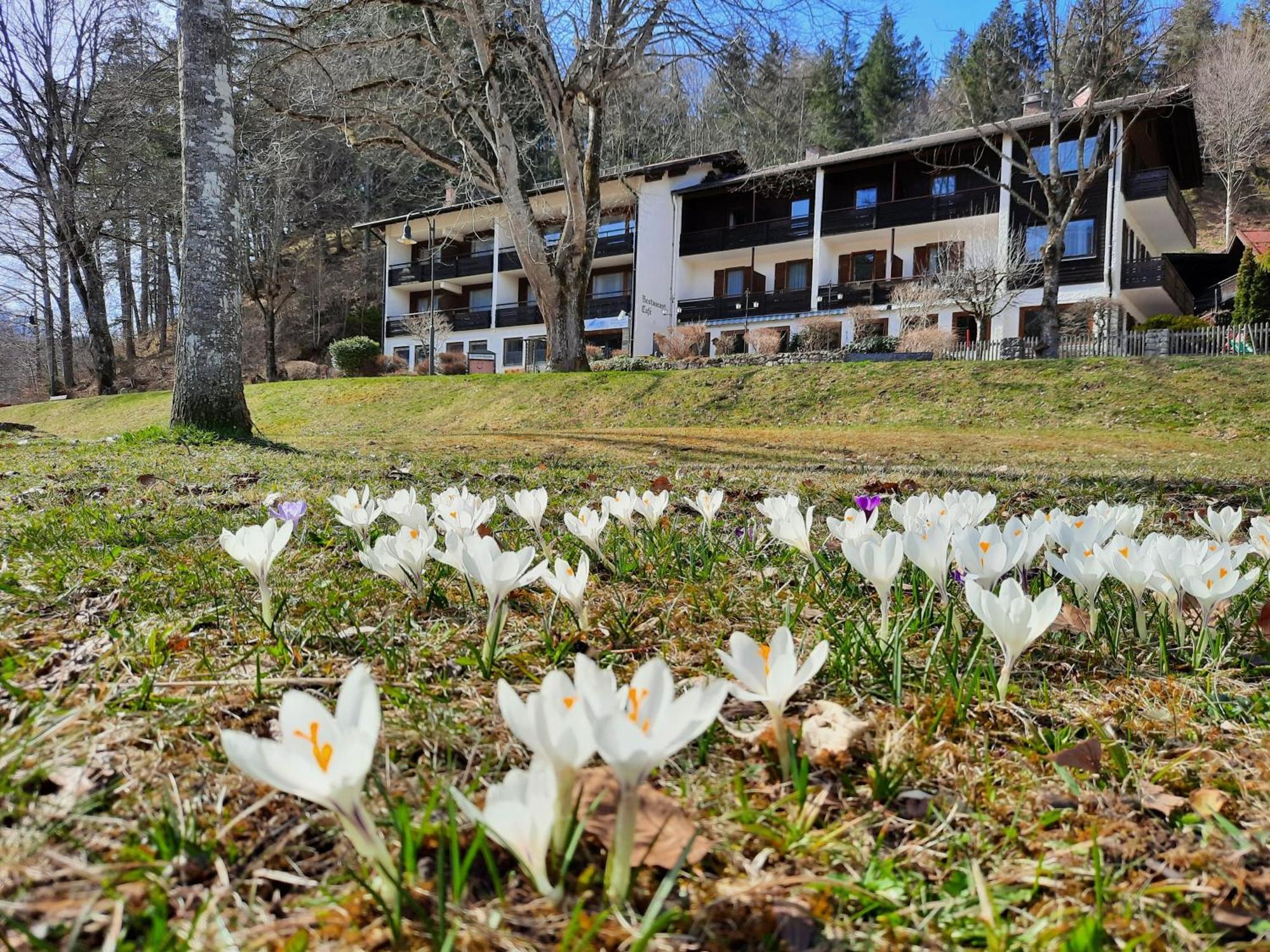 Hotel Ruchti - Zeit Fuer Mich ฟุสเซ่น ภายนอก รูปภาพ